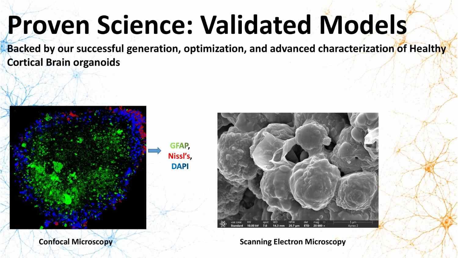 Transmission electron microscopy research imaging